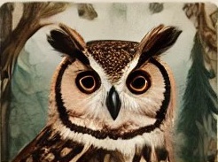 Download Free Printables